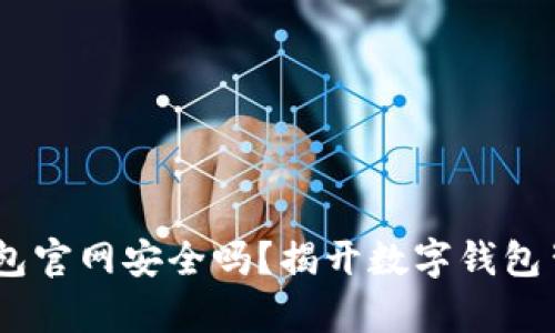 Tokenim钱包官网安全吗？揭开数字钱包背后的真相！