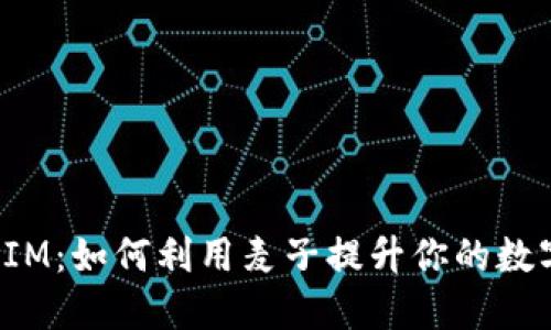 探索钱包TokenIM：如何利用麦子提升你的数字资产管理体验