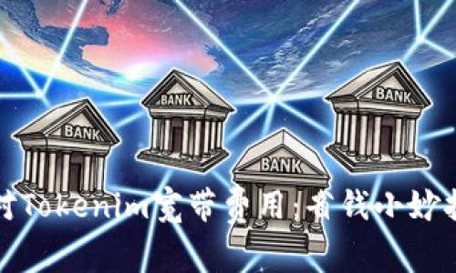 如何轻松应对Tokenim宽带费用：省钱小妙招与实用攻略