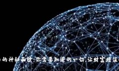 揭开虚拟币的神秘面纱：你需要知道的一切，让