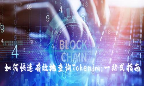 如何快速有效地查询Tokenim：一站式指南
