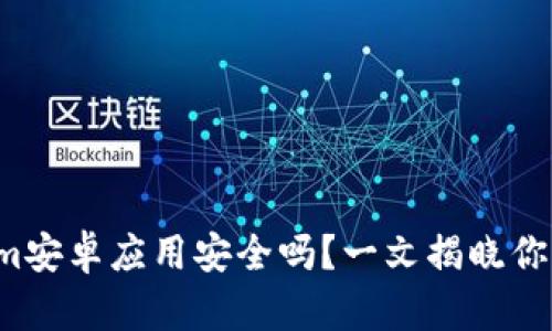 Tokenim安卓应用安全吗？一文揭晓你的疑虑！