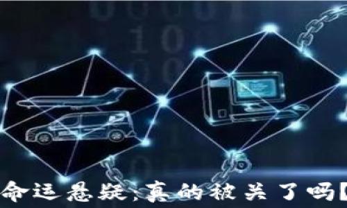 
天天虚拟币雷达币的命运悬疑：真的被关了吗？揭开内幕与未来展望