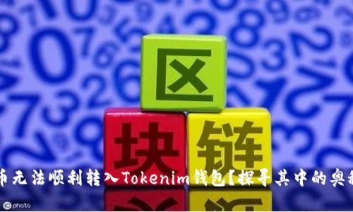 为什么你的币无法顺利转入Tokenim钱包？探寻其中的奥秘与解决方案
