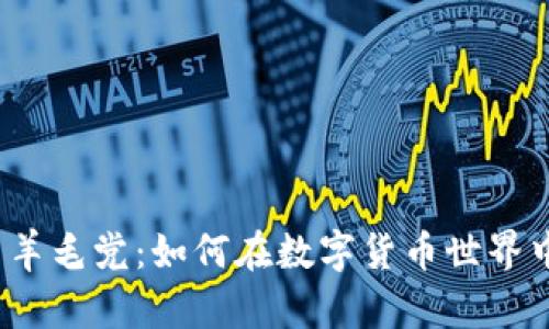 揭秘虚拟币羊毛党：如何在数字货币世界中抓住机会?