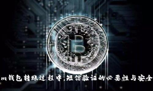 Tokenim钱包转账过程中，短信验证的必要性与安全性分析