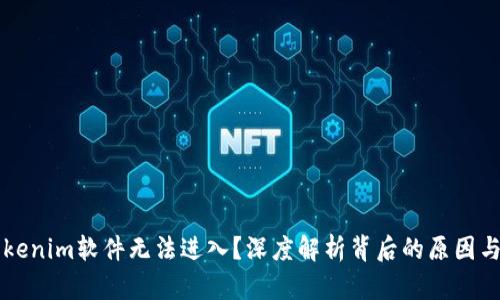 为什么Tokenim软件无法进入？深度解析背后的原因与解决方案