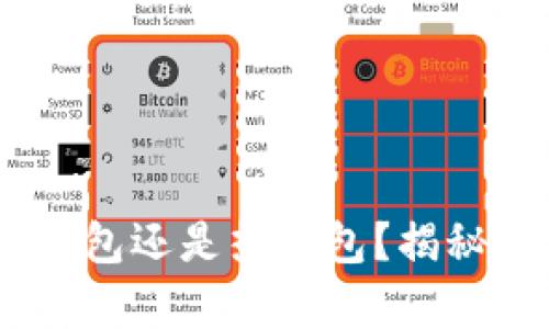 Tokenim是什么？冷钱包还是热钱包？揭秘数字资产安全的真相