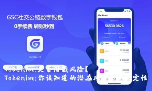 Tokenim：是否潜藏风险？
Tokenim：你该知道的潜在风险与不确定性