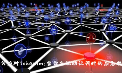 如何应对Tokenim：当你忘记助记词时的应急措施