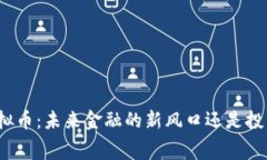 揭秘费虚拟币：未来金融的新风口还是投资的陷