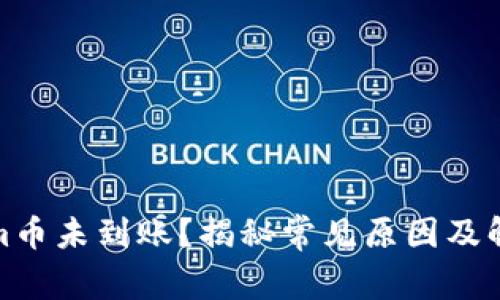 Tokenim币未到账？揭秘常见原因及解决方案