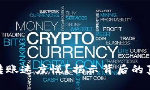 为何Tokenim转账速度慢？揭示背后的真相与解决方案