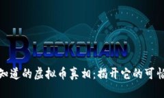 你不知道的虚拟币真相：揭开它的可怕面纱
