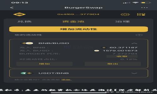 STK虚拟币：未来的投资机会还是泡沫？深度解析其前景