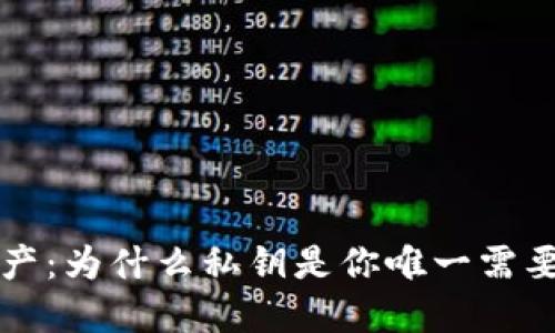 保护你的数字资产：为什么私钥是你唯一需要关注的安全因素