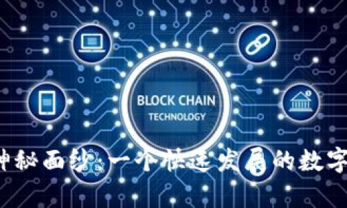 揭开虚拟币社区的神秘面纱：一个快速发展的数字经济社区有多少人？