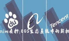 探索Tokenim质押：EOS生态系统中的新机遇与挑战
