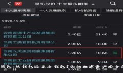 Tokenim钱包：热钱包还是冷钱包？你的数字资产安