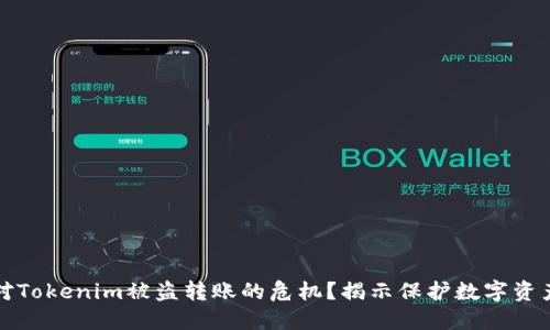 如何应对Tokenim被盗转账的危机？揭示保护数字资产的秘密