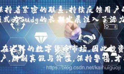   揭露Sudg虚拟币：潜力还是泡沫？真正的投资智慧在这里！ / 
 guanjianci 虚拟币, Sudg, 投资, 区块链 /guanjianci 

引言：什么是Sudg虚拟币？
在当今快速发展的数字经济时代，虚拟币的概念已经深入人心。Sudg虚拟币作为一颗冉冉升起的新星，吸引了无数投资者的目光。它到底是什么？为何能够引发如此热议？对于许多普通用户而言，虚拟币的世界勾勒出了一幅充满机遇与风险的图景。在接下来的文章中，我们将深入探讨Sudg的背景、功能、潜力以及投资的注意事项。

Sudg的基础知识
首先，我们需要搞清楚Sudg虚拟币的基本概念。Sudg，也许是一个新名词，但它的背后却有着丰富的区块链技术支撑。区块链是一种分布式数据库技术，能够确保数据的安全性和透明性。而Sudg作为一种新兴的加密货币，正是建立在这种技术之上。
Sudg的发行目的，意在为用户提供更便捷的数字资产交易体验。其背后的团队致力于开发出一个更加高效、安全的金融生态系统，这无疑是给了市场一个新的期待。

为什么Sudg能吸引投资者？
市场上充斥着各种虚拟币，Sudg凭什么脱颖而出？首先，是它的创新能力。Sudg拥有独特的共识机制，这种机制不仅提高了交易速度，还降低了能源消耗，与许多传统虚拟币相比更具优势。其次，团队的背景相当突出，他们对技术的深刻理解以及丰富的行业经验，为Sudg的发展提供了坚实的支持。
另外，Sudg在市场推广上也采取了多样化的策略，吸引了不少投资者的关注。通过教育推广和社区建设，Sudg确立了良好的用户基础。这是其他许多虚拟货币所无法比拟的。

Sudg的潜力分析
说到Sudg的潜力，我们不得不提及其在市场中的独特定位。与大多数虚拟币依赖于投机客的想法不同，Sudg更注重于构建实际应用场景。其在跨境支付、资产管理以及数字身份验证等领域的应用，展现了其巨大的发展空间。
随着技术的进步，越来越多的企业和个人开始接受虚拟货币作为一种可行的交易方式。Sudg通过与众多行业的合作，不仅提升了其在市场中的知名度，更为其未来发展注入了信心。

投资Sudg需要注意哪些事项？
尽管Sudg展现出巨大的潜力，但投资者在进入这个领域时仍需谨慎。首先，市场波动性极大。虚拟币的价格受多种因素的影响，包括市场需求、政策法规、竞争对手等，因此投资前必须充分了解市场动态。
其次，选择正确的交易平台也至关重要。确保选择安全、可靠的交易所进行Sudg的买卖，以降低风险。此外，用户也要了解如何妥善保护自己的虚拟资产，避免因不慎而受到损失。

社区与支持
事实上，Sudg的成功离不开其背后强大的社区力量。在这个数字时代，社区的参与和支持对于虚拟币的流行至关重要。Sudg的开发团队与社区成员保持着紧密的联系，持续反馈用户的需求与意见，从而不断产品设计。
此外，社区的活跃程度直接影响到Sudg的知名度与认可度。通过定期举办线上线下的交流活动，团队与用户之间形成了良好的互动关系，这种合作模式为Sudg的长期发展注入了活力。

未来展望与总结
从目前来看，Sudg在虚拟货币市场上展现出巨大潜力。这不仅体现在它的技术创新，还体现在它实际应用的落地。然而，任何投资均存在风险，尤其是在这样的数字货币市场，因此投资者应该保持理性，审慎决策。
总结而言，Sudg虚拟币的出现无疑改变了我们对数字资产的传统认知。无论你是对数字货币感兴趣的投资者，还是单纯想要了解新兴科技的普通用户，辨别真假与价值，保持警惕，才能在这片新兴市场中找到属于自己的机会。
