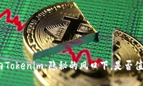 探秘国内Tokenim：隐秘的风口下，是否值得一试？