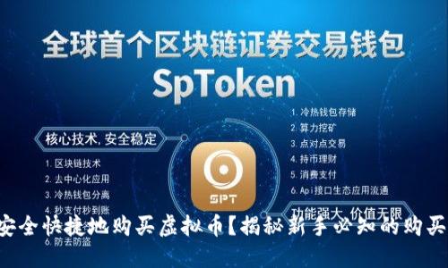 如何安全快捷地购买虚拟币？揭秘新手必知的购买渠道！