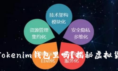 超灵币能放在Tokenim钱包里吗？揭秘虚拟货币存储的秘密