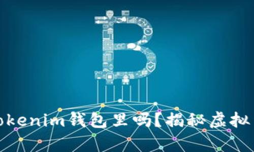 超灵币能放在Tokenim钱包里吗？揭秘虚拟货币存储的秘密