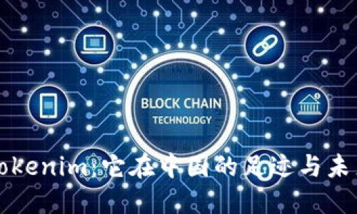 探秘Tokenim：它在中国的足迹与未来展望