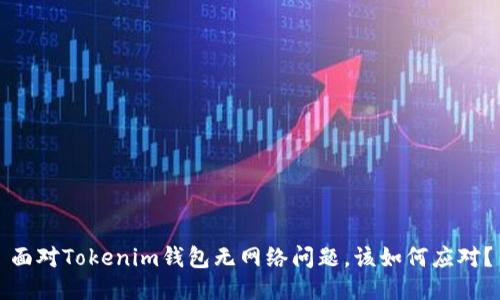 面对Tokenim钱包无网络问题，该如何应对？