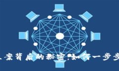 揭开虚拟币立案背后的秘密：如何一步步走向合