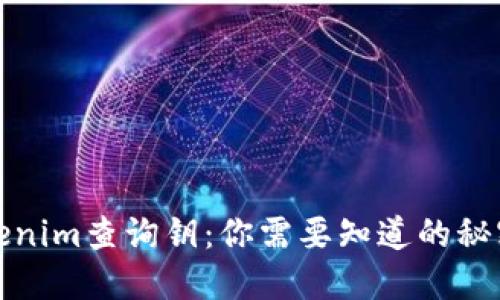 揭秘Tokenim查询钥：你需要知道的秘密与技巧