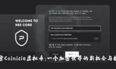 解密Coinicle虚拟币：一个加密世界的新机会与挑战