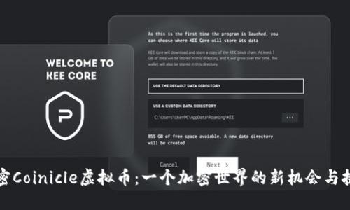 解密Coinicle虚拟币：一个加密世界的新机会与挑战