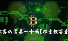 虚拟币钱包，你真的需要一个吗？探索数字资产