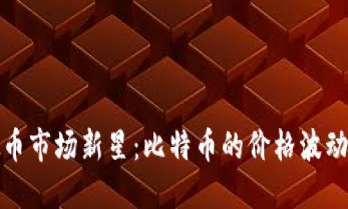 2023年虚拟币市场新星：比特币的价格波动揭示了什么？