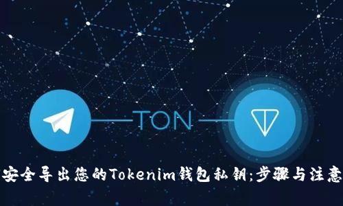 如何安全导出您的Tokenim钱包私钥：步骤与注意事项