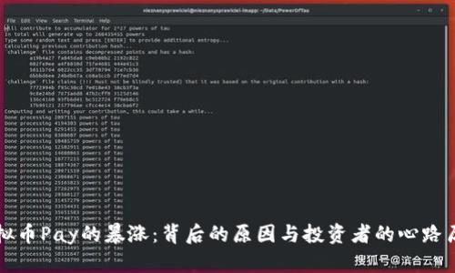 虚拟币Pay的暴涨：背后的原因与投资者的心路历程