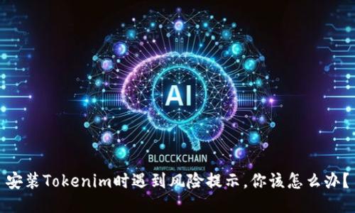 安装Tokenim时遇到风险提示，你该怎么办？