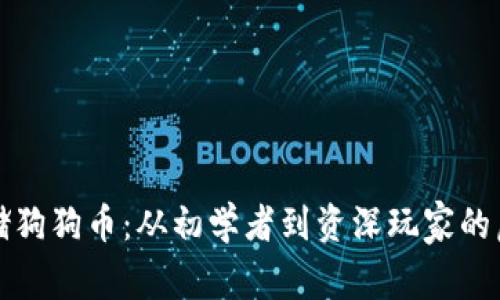 如何安全地存储狗狗币：从初学者到资深玩家的虚拟币钱包指南