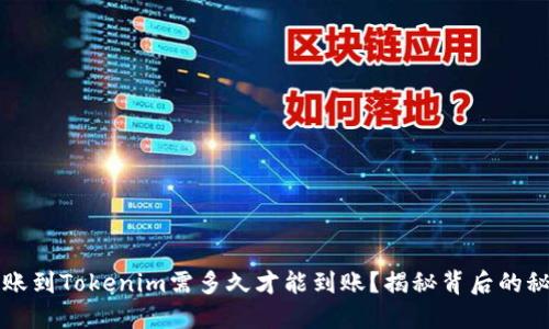 转账到Tokenim需多久才能到账？揭秘背后的秘密