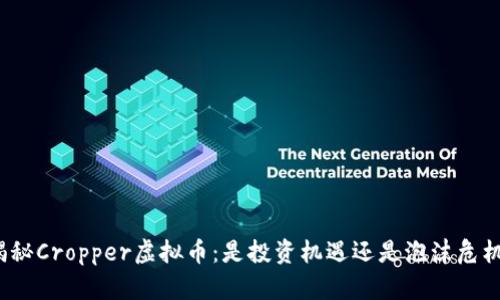 揭秘Cropper虚拟币：是投资机遇还是泡沫危机？