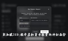 新加坡ICO：揭开虚拟货币投资的神秘面纱