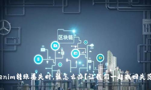 : 当你的Tokenim转账丢失时，该怎么办？让我们一起找回失落的数字资产！