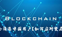 Tokenim会不会清退中国用户？如何应对变局的挑战