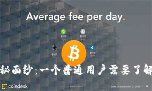 揭开雷达币的神秘面纱：一个普通用户需要了解的虚拟货币世界