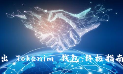 如何安全导出 Tokenim 钱包：终极指南与实用技巧