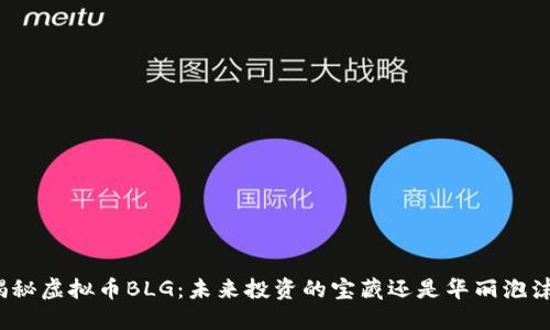 揭秘虚拟币BLG：未来投资的宝藏还是华丽泡沫？