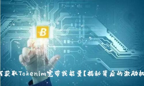 如何获取Tokenim宽带或能量？揭秘背后的激励机制！